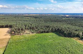 Gewerbeimmobilie kaufen in 03238 Finsterwalde, 6,5 ha kompakte Forstliegenschaft im Süden von Brandenburg