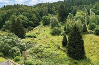 Gewerbeimmobilie kaufen in 37447 Wieda, ca. 2.500 m² unbebautes Grundstück