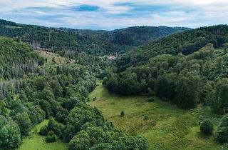 Gewerbeimmobilie kaufen in 37447 Wieda, ca. 0,7 ha Grünfläche im Naturpark Harz