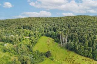 Gewerbeimmobilie kaufen in 37412 Herzberg, Vier Grünflächen im Ortsteil Lonau im Harz