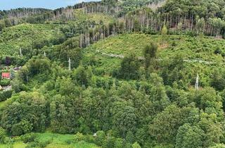 Gewerbeimmobilie kaufen in 37431 Bad Lauterberg, 0,9 ha unbebautes Grundstück - Stadtrand Bad Lauterberg