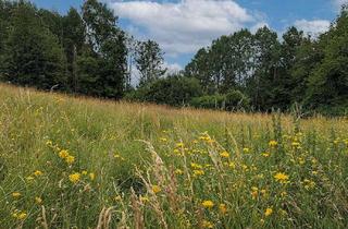 Gewerbeimmobilie kaufen in 37431 Bad Lauterberg, Grünfläche in idyllischer Lage unweit vom Ort