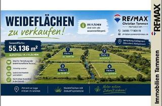 Gewerbeimmobilie kaufen in 26817 Rhauderfehn, * ca.55.136 m² Weideflächen in der Gemarkung Collinghorst – Sofort verfügbar *