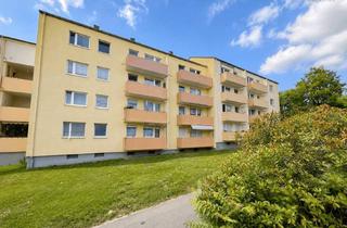 Wohnung kaufen in 91207 Lauf, Gepflegte 3-Zimmer-Wohnung mit Balkon in Lauf an der Pegnitz