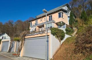 Haus kaufen in 69250 Schönau, Ihr Logenplatz im Odenwald