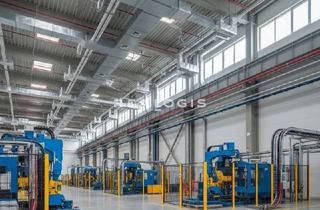 Gewerbeimmobilie mieten in 78112 St. Georgen, Lager-/ Produktionsflächen an der B33 zu vermieten!