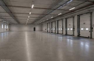 Gewerbeimmobilie mieten in 96247 Michelau, Ab 1500 qm (bis 10.000 qm) - Auch Kurzzeitmiete möglich - Moderne Logistik- und Lagerhallen mit Ramp