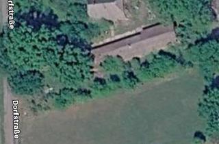 Grundstück zu kaufen in 29499 Zernien, Grundstück mit Altbestand (Resthof)