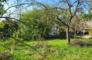 Grundstück zu kaufen in 73614 Schorndorf, Bauträger-Chance in Schorndorf-Kernstadt: 891 m² voll erschlossen für Mehrfamilienhaus od. DHH/RH