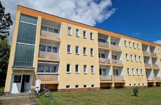 Wohnung mieten in Braunsdorfer Str. 21, 06886 Lutherstadt Wittenberg, Frisch renoviert, Single Wohnung mit Balkon!
