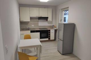 Wohnung mieten in Hintere Cramergasse, 90478 Nürnberg, Möblierte 1-Zi.- Wonung in Nbg. St. Peter - ab 1.8. Uni Nähe