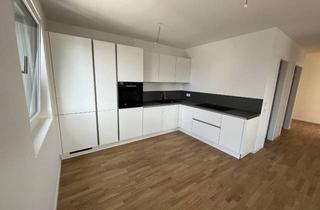 Penthouse mieten in Alte Ziegelei 19, 67346 Speyer, Neubau: 2-Zimmer-Penthouse mit Einbauküche und Dachterrasse mit Domblick (AM FLUSS)