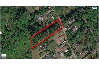 Grundstück zu kaufen in Am Saufelsen 12-14, 66996 Ludwigswinkel, Hyde away - großes unbebautes Waldgrundstück im Herzen des Biosphärenreservat Pfälzer-Vosges du Nord