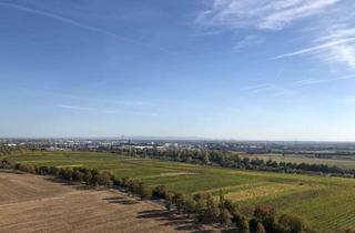 Wohnung mieten in Herderstraße 25, 65239 Hochheim, *** Wohnen über den Dächern Hochheims, tolle 3 -Zi-Whg. zu vermieten ***