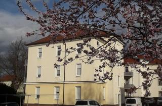 Wohnung mieten in Franz-Schubert-Straße 10, 01809 Heidenau, FLOTTE DACHWOHNUNG MIT XL WOHNBEREICH & CABRIOFENSTER ZUM RELAXEN!