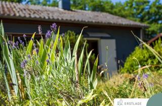 Haus kaufen in 56288 Bubach, EINE PERLE MIT VIEL GEFÜHL – IHR GANZ BESONDERES FERIENDOMIZIL MIT POOL