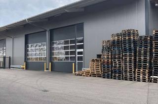 Gewerbeimmobilie mieten in Im Gansacker, 77790 Steinach, TOP Lage - Montage, Produktion, Lager od. Sport/ Industriehalle mit 500 m² Gesamtfläche in Steinach