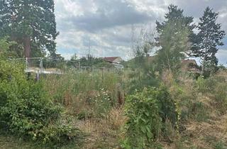 Grundstück zu kaufen in 67229 Großkarlbach, Wunderschönes, riesiges Grundstück zum Bebauen in Ortsrandlage!