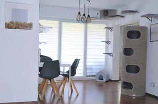 Wohnung kaufen in 31789 Hameln, Hameln - Attraktive 3-Zi.- Wohnung mit Balkon- PROVISIONSFREI