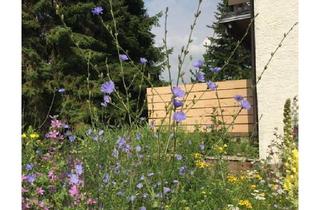 Haus kaufen in 64521 Groß-Gerau, Groß-Gerau - Haus mit schönem Natur-Garten