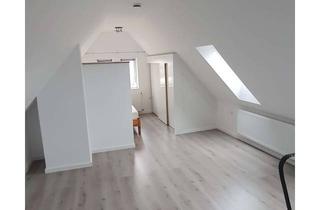 Wohnung mieten in Birkachring, 74589 Satteldorf, Stilvolle, geräumige 1-Zimmer-Dachgeschosswohnung mit EBK in Satteldorf