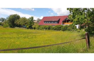 Wohnung mieten in Hinter Den Höfen 16, 30916 Isernhagen, Sehr moderne 3,5-Zimmer-Wohnung mit großem Balkon in Isernhagen (Neuwarmbüchen)