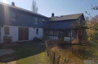 Einfamilienhaus kaufen in Edemannswisch 18, 25746 Norderwöhrden, Naturidylle pur - Einfamilienhaus mit Einligerwohnung großem Grundstück & Schwimmteich