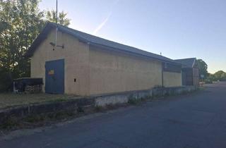 Gewerbeimmobilie kaufen in 04687 Trebsen, Lagerhalle 175 m2 mit 680 m2 Grundstück Provisionsfrei von Privat zu verkaufen