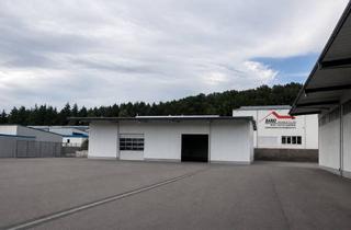 Büro zu mieten in Industriestraße 15, 79787 Lauchringen, Großzügige Gewerbeimmobilie mit Lager, Büro und Freiflächen – sofort verfügbar
