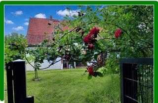 Haus kaufen in 04916 Schönewalde, *** EFH mit ELW, Stall / Scheune und großem Grundstück ***