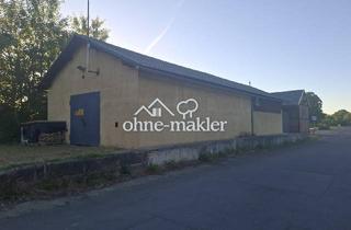 Gewerbeimmobilie kaufen in 04687 Trebsen, Lagerhalle 175 m2 mit 680 m2 Grundstück Provisionsfrei von Privat zu verkaufen
