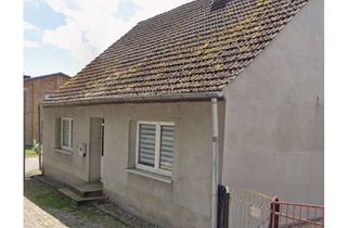 Haus kaufen in 17398 Löwitz, Viel Platz für Ihre Ideen: Haus in Ducherow / OT Löwitz
