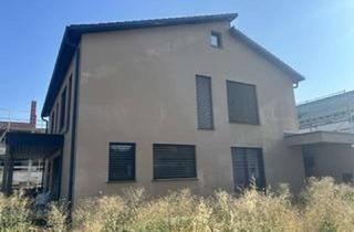 Haus kaufen in 71723 Großbottwar, Neubau EFH mit Einliegerwohnung