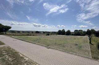 Grundstück zu kaufen in Doberaner Landweg, 18209 Bad Doberan, Schönster Blick Richtung Kühlung