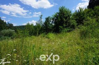 Grundstück zu kaufen in 66851 Horbach, Träumen Sie noch von Baugenehmigungen im Wald, oder projektieren Sie schon? 4.000 m² B-Plan-Areal.
