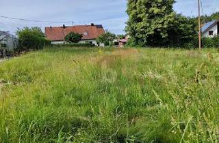 Grundstück zu kaufen in 89264 Weißenhorn, Weißenhorn - IHR GRÜNES PARADIES FÜR DIE GANZE FAMILIE