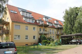 Wohnung mieten in Hauerwinkel, 06847 Kochstedt, 2-Raumwohnung mit Balkon in ruhiger Waldsiedlung