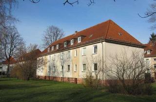 Wohnung mieten in Rudolf-Breitscheid-Str., 30926 Seelze, Schöne 1-Zimmerwohnung in Seelze