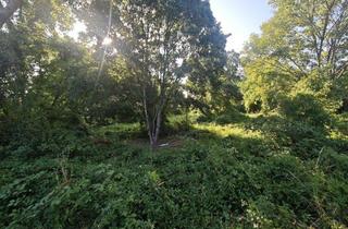 Anlageobjekt in 67547 Worms, Zwei zusammenhängende Rhein-Grundstücke mit insgesamt ca. 33.725 m²