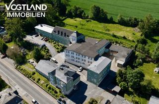 Haus kaufen in 08258 Markneukirchen, **Investoren aufgepasst!** Geschäftsanwesen mit Entwicklungspotenzial in Markneukirchen