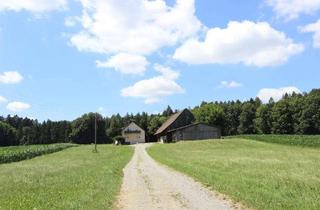 Bauernhaus kaufen in 88368 Bergatreute, Ehemaliger kleiner Bauernhof in absolut ruhiger und sonniger Alleinlage auf 4 ha Land