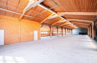 Büro zu mieten in 86825 Bad Wörishofen, Gewerbehalle mit Bürofläche & Freigelände