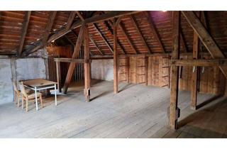 Gewerbeimmobilie mieten in 09623 Rechenberg-Bienenmühle, Lagerhalle Vereinsraum Scheune 100 qm in Rechenberg-Bienenmühle zu vermieten