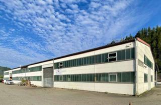 Gewerbeimmobilie mieten in Vorlandstraße, 77756 Hausach, Industriehalle 1390 qm in Hausach