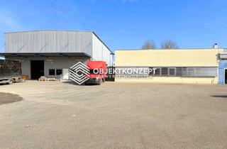 Büro zu mieten in 78315 Radolfzell, Gewerbeflächen mit Hochregallager, Halle und Büro am Bodensee verfügbar