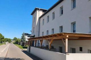 Gewerbeimmobilie mieten in Nulandstraße 29, 06217 Merseburg, Schnäppchen für Bauunternehmer - 37.700 m² Gewerbehof mit Hallen, Werkstätten & Wohnmöglichkeit