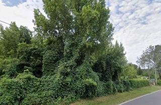 Grundstück zu kaufen in 15344 Strausberg, PROVISIONSFREI | Wohnbaugrundstück in ruhiger Wohnsiedlung in Strausberg
