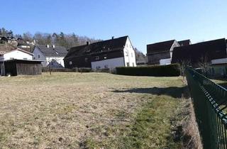 Grundstück zu kaufen in 92696 Flossenbürg, Platz für Ihre Träume – Baugrundstück in Flossenbürg