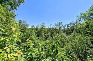 Grundstück zu kaufen in Kreuzfelsen 19, 72393 Burladingen, Sonniges Traumgrundstück: Großzügiges Bauland in Südhanglage für Ihr Einfamilienhaus in Burladingenl
