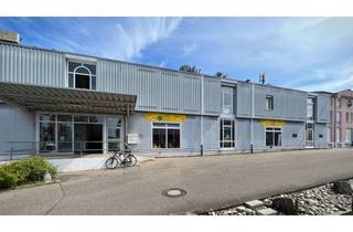 Büro zu mieten in 79194 Gundelfingen, Großzügige Showroom-, Produktions- oder Lagerfläche mit Büros auf 2 Etagen